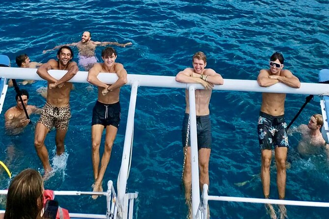 Waikiki Turtle Canyon Snorkeling Adventure - Cruise time and the Turtle Canyon focus: when the route becomes the attraction