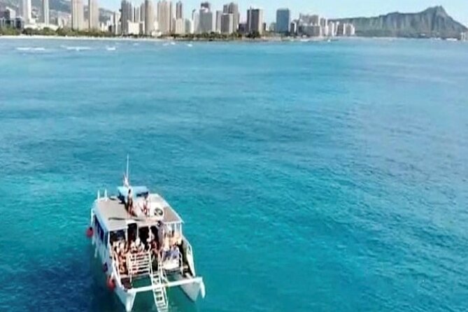 Waikiki Turtle Canyon Snorkeling Adventure - Snorkeling for sea turtles: what the crew support is really doing