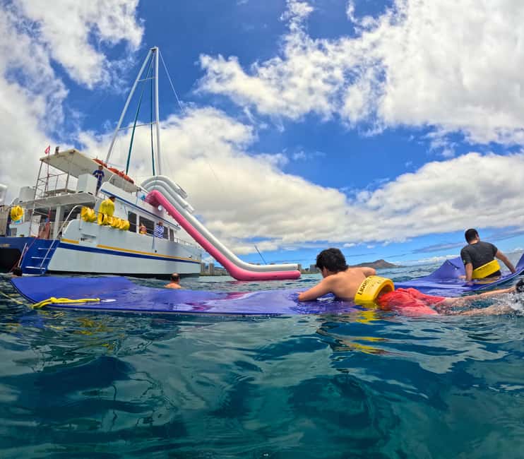 Waikiki Turtle Snorkel Adventure - Key highlights