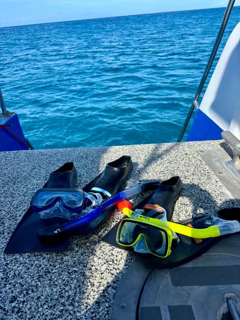 Waikiki Turtle Snorkel Adventure - Snacks, drinks, and shade you can actually use