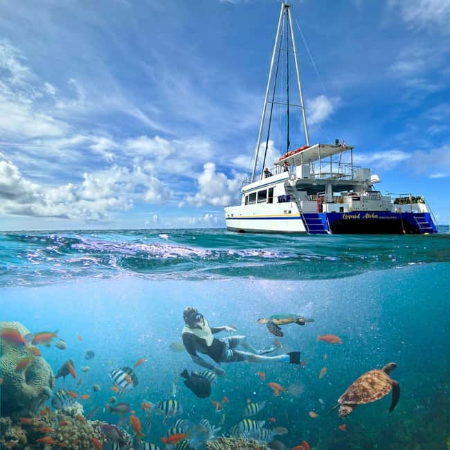 Waikiki Turtle Snorkel Adventure - The guides and the vibe on board