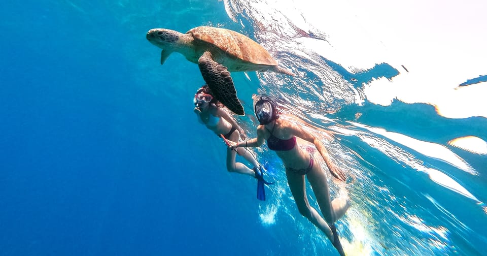 Waikiki: Turtle Snorkeling Cruise with 20ft Jumping Platform - In the Water: What Snorkeling Feels Like Here