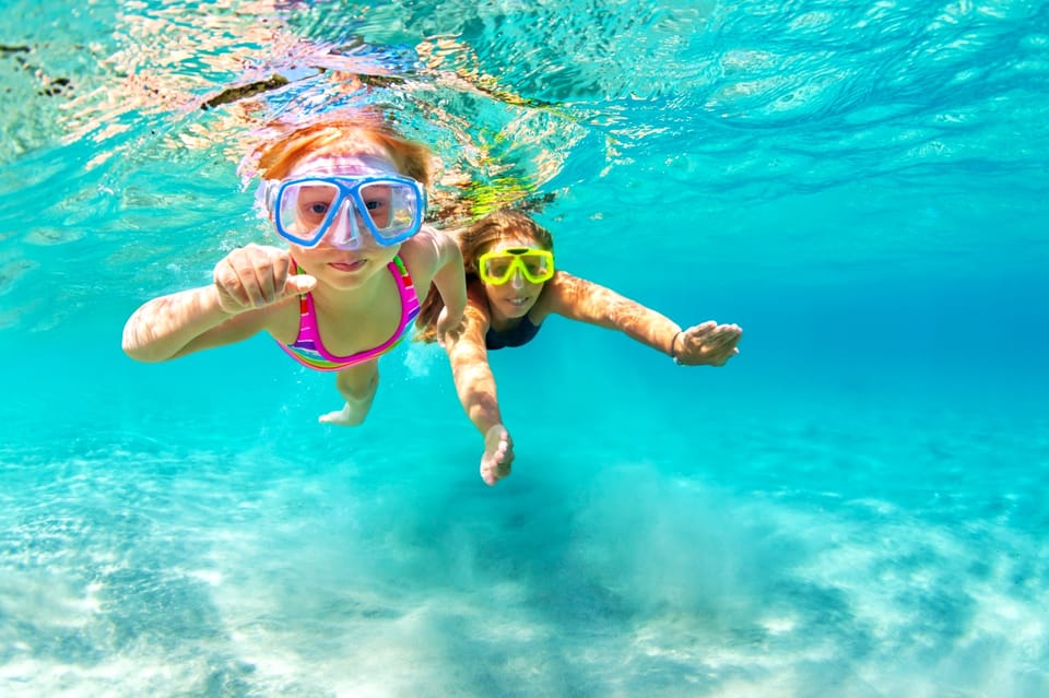 Waikiki: Turtle Snorkeling Cruise with 20ft Jumping Platform - Who Should Book This Cruise, and Who Might Skip
