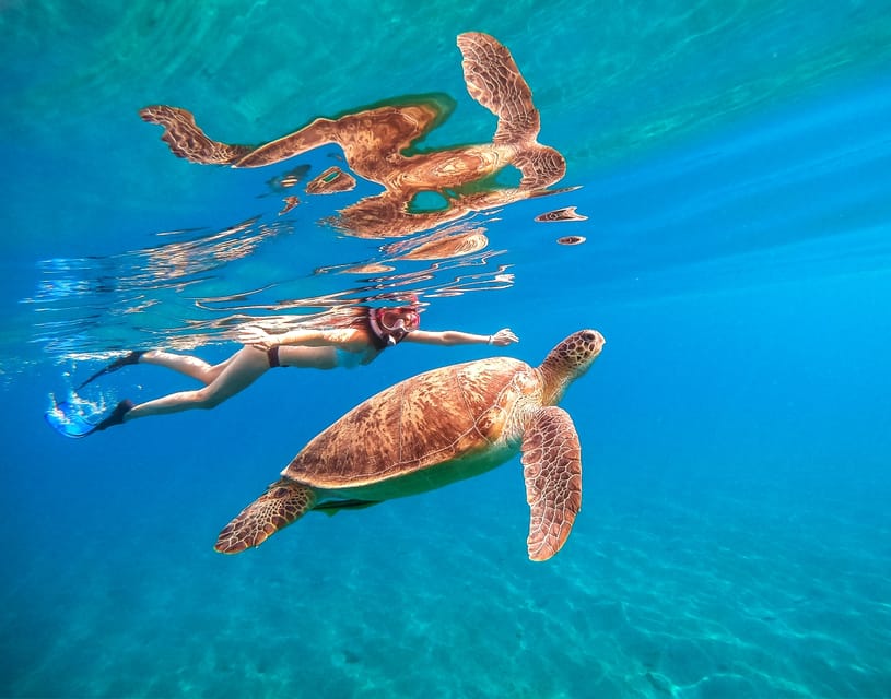 Waikiki: Turtle Snorkeling Cruise with 20ft Jumping Platform - Getting to the Catamaran: Pickup, Check-In, and Parking