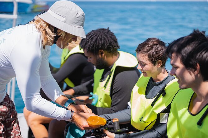 Waikiki Turtle Snorkeling Tour with Complimentary Trolley Ride - Who should book this (and who should skip it)