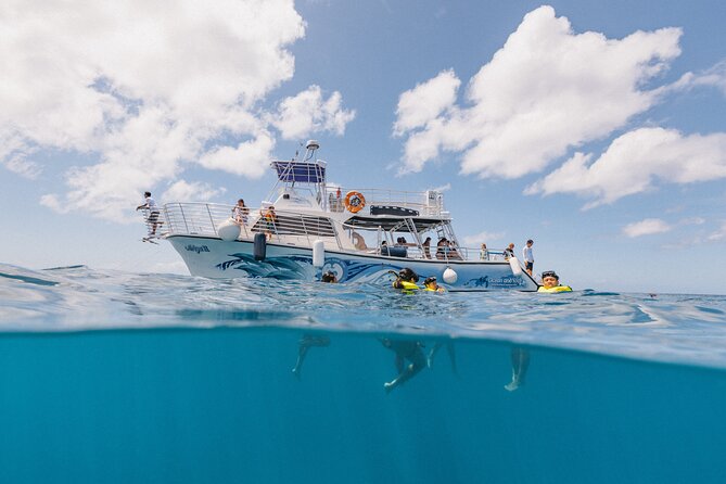 Waikiki Turtle Snorkeling Tour with Complimentary Trolley Ride - Turtle Canyon snorkeling: how the guides help you stay comfortable