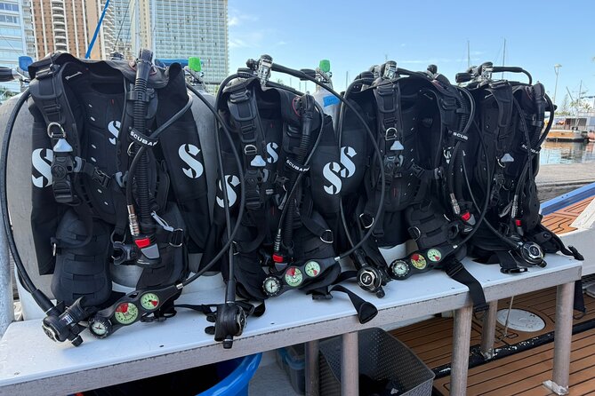 Waikiki Two Tank Guided Scuba Diving Adventure: Certified Diver - Small-Group Waikiki Underwater Time, Without the Big-Boat Chaos