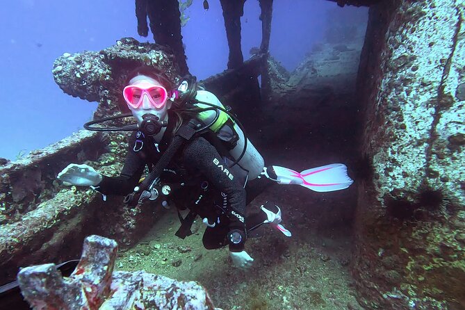 Waikiki Two Tank Guided Scuba Diving Adventure: Certified Diver - Wildlife Encounters: What You Should Look For