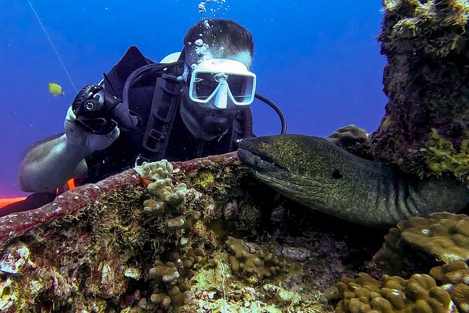 Waikiki Two Tank Guided Scuba Diving Adventure: Certified Diver - Meet Your PADI Professional: Why Small-Group Guidance Changes Everything