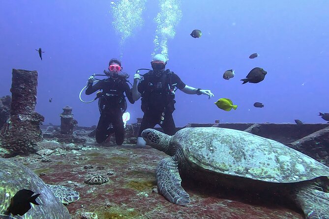 Waikiki Two Tank Guided Scuba Diving Adventure: Certified Diver - What You Need to Provide Before You Go