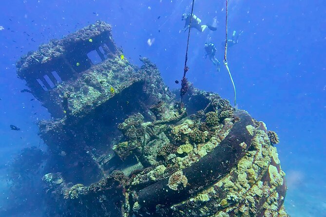 Waikiki Two Tank Guided Scuba Diving Adventure: Certified Diver - Gear, Tanks, and Weights: Built-In Convenience