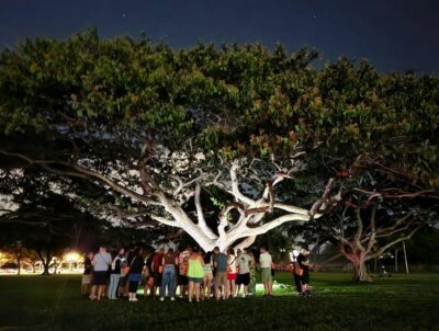Waikiki: Waikiki Night Marchers Ghostly Walking Tour - The 90-Minute Route: A Short Walk With a Purpose