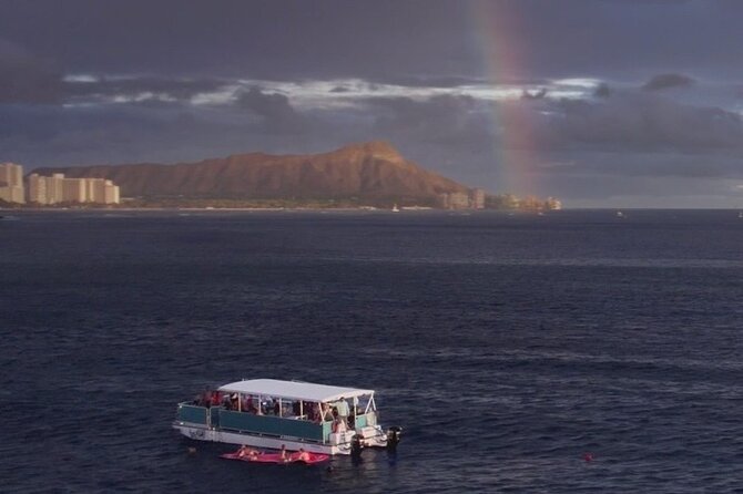 Waikiki Whale Watching Cruise - Key highlights you should know before you go