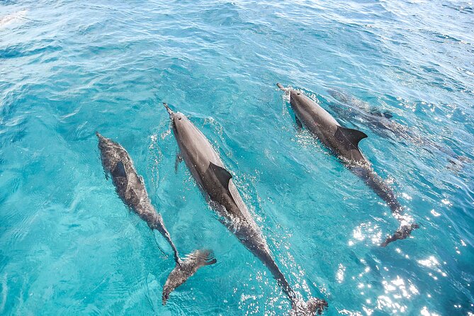 Waikiki's Premier Small Group Sunset Yacht + Tasting - Hosted bar and service that keeps the flow easy
