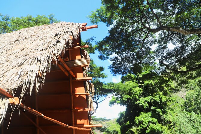 Waimea Valley Waterfall Swim & Dole Plantation Tour with Lunch - Key highlights worth getting excited about