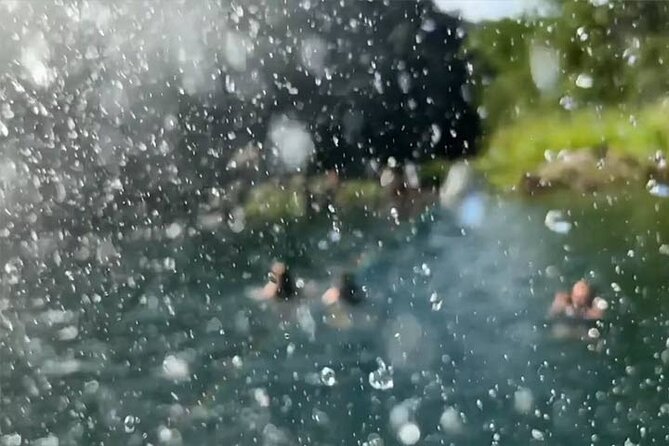 Waimea Valley Waterfall Swim & Dole Plantation Tour with Lunch - From Waikiki pickup to Green World Coffee Farm: start local, start early