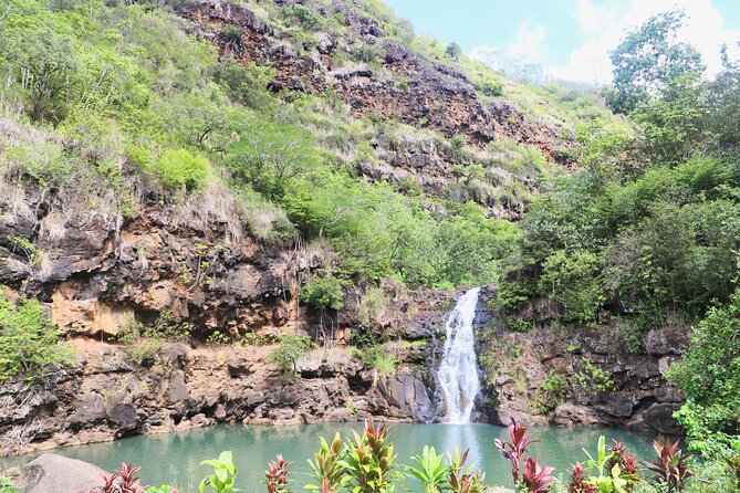 Waimea Valley Waterfall Swim & Dole Plantation Tour with Lunch - Dole Plantation on the way back: pineapple history, plus how to manage expectations