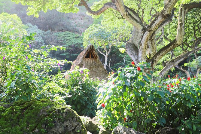 Waimea Valley Waterfall Swim & Dole Plantation Tour with Lunch - What this tour price buys you: value at $120.60
