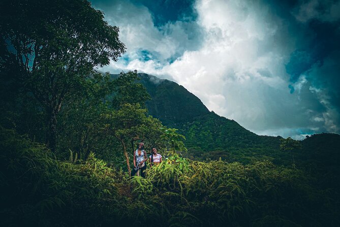 Waterfall Hike in Hawai'i Rainforest Trail - Key highlights that make this worth your time