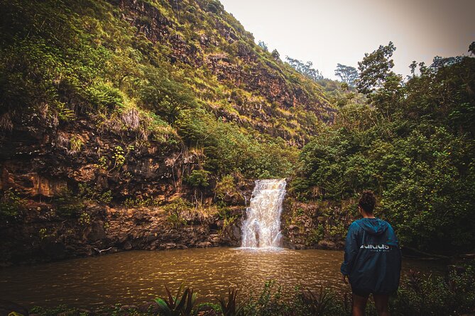 Waterfall Hike in Hawai'i Rainforest Trail - The guide matters: pace, safety, and real Hawai‘i context