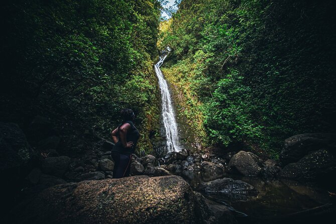 Waterfall Hike in Hawai'i Rainforest Trail - Weather and timing: why this tour stays “conditional”