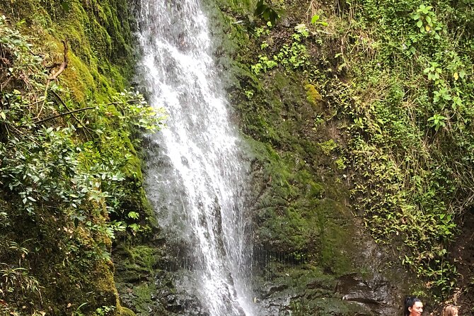 Waterfall Hike , Sightseeing & East Side Beach Day - Key Highlights to Know Before You Go