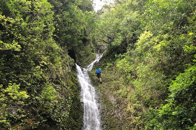Waterfall Hike , Sightseeing & East Side Beach Day - Hotel Pickup and Island Storytelling From Your Guide