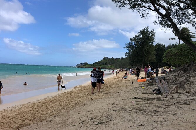 Waterfall Hike , Sightseeing & East Side Beach Day - Lunch Break: Plan for Good Food, Not Included Timing