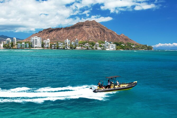 Whale Watching Adventure -Speed Boat & Small Group - From Kewalo Basin: why this route makes sense for whale watching