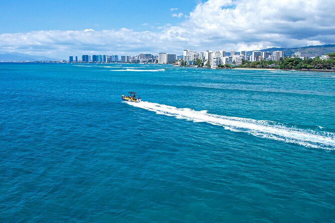 Whale Watching Adventure -Speed Boat & Small Group - Spotting whales fast: what the crew is actually doing out there