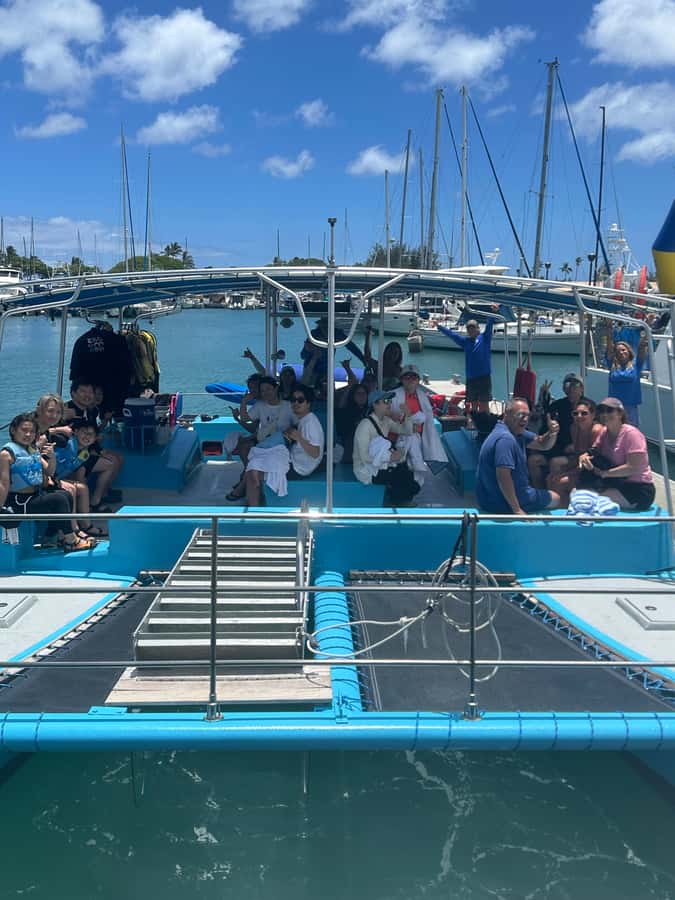 Whale Watching Cruise in Waikiki Oahu - SEE THE HUMPBACKS! - It Feels Like Education, Not a Checklist