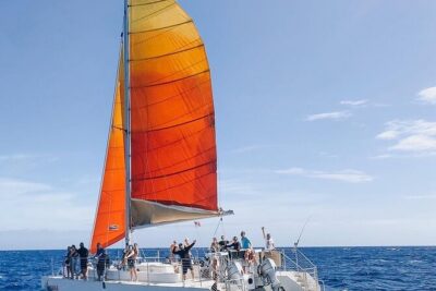 Whale Watching Sail in Honolulu with Open Bar - Beach Boarding With Tide-Adjusted Stops: The Part People Forget