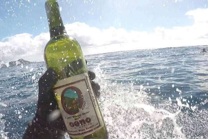 Winery Oeno Island Style Wine Tasting - Where This Fits Best: Who Will Love It and Why